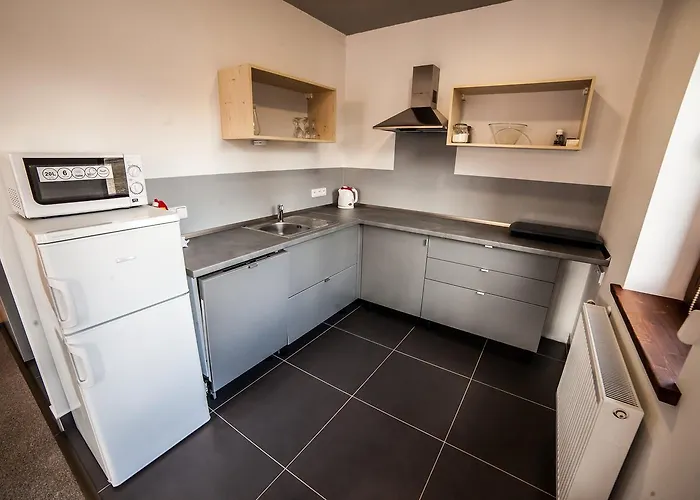 Severak Smrk Апартаменты Янов-над-Нисоу